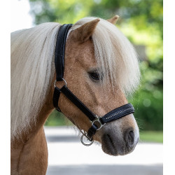 Lederen halster voor paard Star Diamond – equi-clic