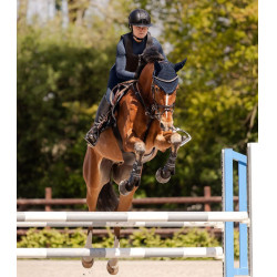 Swing Helm H24 Lady shine Zwart glans, mat