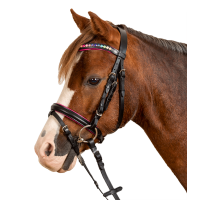 Bridon Star Pinky Zwart