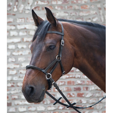 Bitloos hoofdstel Linda Tellington-Jones Zwart Bitloos hoofdstel Linda Tellington-Jones Zwart