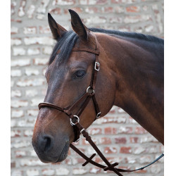 Bitloos hoofdstel Linda Tellington-Jones Bruin