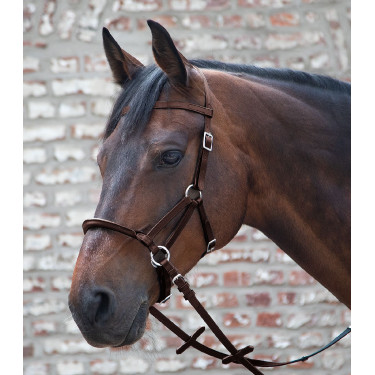 Bitloos hoofdstel Linda Tellington-Jones Bruin