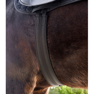 Lange dressuursingel Waldhausen Economic – paardensport Lange dressuursingel Waldhausen Economic – paardensport