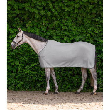 Waldhausen Economic fleece-deken Zilvergrijs