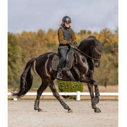 Vliegenkap voor paard Waldhausen St. Gallen – ruitersport