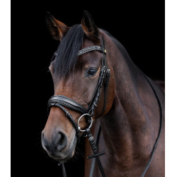 Waldhausen S-Line Blackshine gelakte hoofdstel met gecombineerde pull back neusriem Zwart