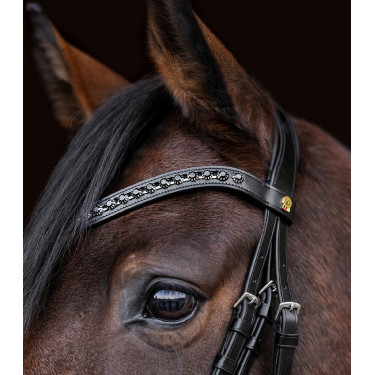 Waldhausen S-Line Blackshine gelakte hoofdstel met gecombineerde pull back neusriem Zwart