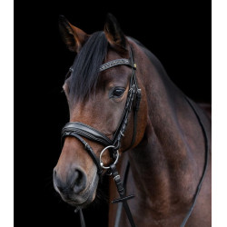 Waldhausen S-Line Blackshine gelakte hoofdstel met gecombineerde pull back neusriem Zwart