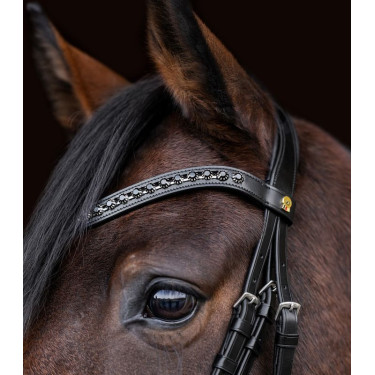 Waldhausen S-Line Blackshine gelakte hoofdstel met gecombineerde pull back neusriem Zwart