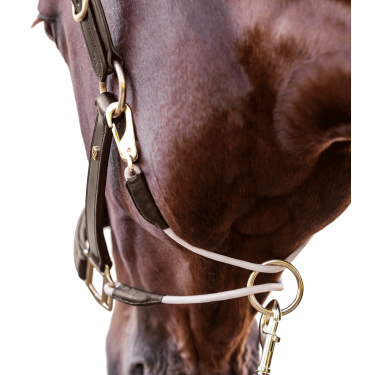 Lederen halster Waldhausen S-Line Royal Bruin