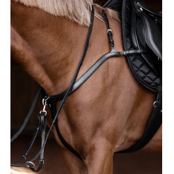 Borsttuig paard X-Line met lange brug | Equi-Clic