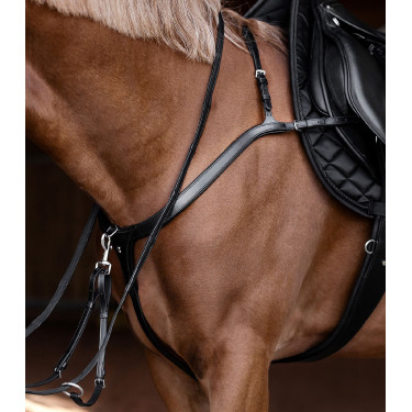 Borsttuig paard X-Line met lange brug | Equi-Clic