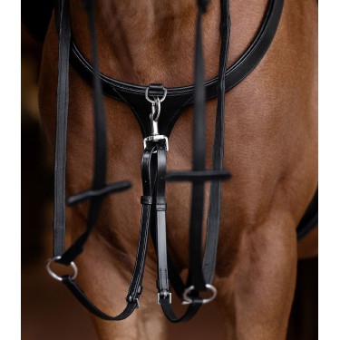 Borsttuig paard X-Line met lange brug | Equi-Clic