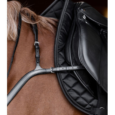 Borsttuig paard X-Line met lange brug | Equi-Clic