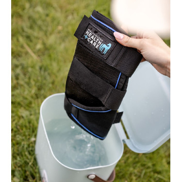 Waldhausen Health + Care Ice Layer peesbeschermers per 2 Zwart