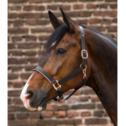 Roze leren halster Waldhausen X-Line Zwart