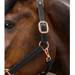 Roze leren halster Waldhausen X-Line Zwart