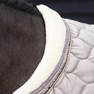 Showdeken Imperial Riding Bandit Showdeken Imperial Riding Bandit