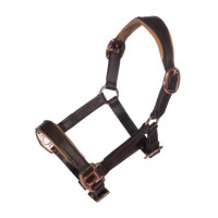 Halster van roségoud leer Hobby Horsing - HKM Bruin