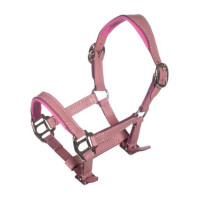 Lederen halster Pink Hobby Horsing - HKM Roze