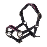 Leren halster Manchester Hobby Horsing HKM Zwart / fuchsia