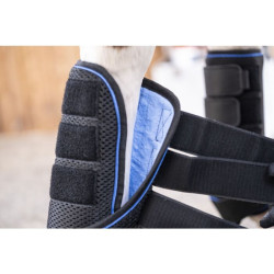 HKM koelbeschermers paard EquineCarePro | Ruitersport