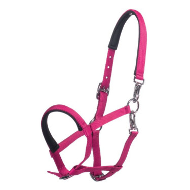 Veulenhalster HKM Millie Roze