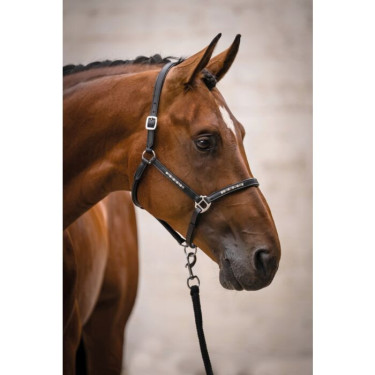 Lederen halster HKM Sparkle Zwart