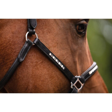 Lederen halster HKM Sparkle Zwart