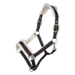 Halster voor paard Arezzo Lauria Garrelli – ruitersport Halster voor paard Arezzo Lauria Garrelli – ruitersport