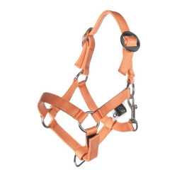 Halster en halstertouw HKM Hobby Horsing Basic Oranje Halster en halstertouw HKM Hobby Horsing Basic Oranje