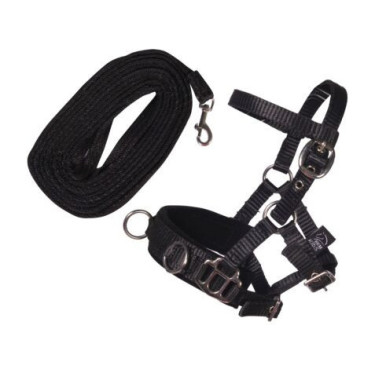 Longeerset voor hobby horsing HKM – equitatie accessoire Longeerset voor hobby horsing HKM – equitatie accessoire