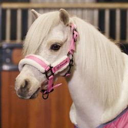 Halster HV Polo Sacha Denk roze Halster HV Polo Sacha Denk roze