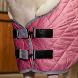Staldeken HV Polo Sacha Denk roze Staldeken HV Polo Sacha Denk roze