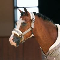 Halster Imperial Riding Bandit Taupe Bruin