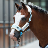 Halster Imperial Riding Little Champion Lichtblauw