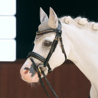 Oornetje Imperial Riding Bandit Taupe Bruin