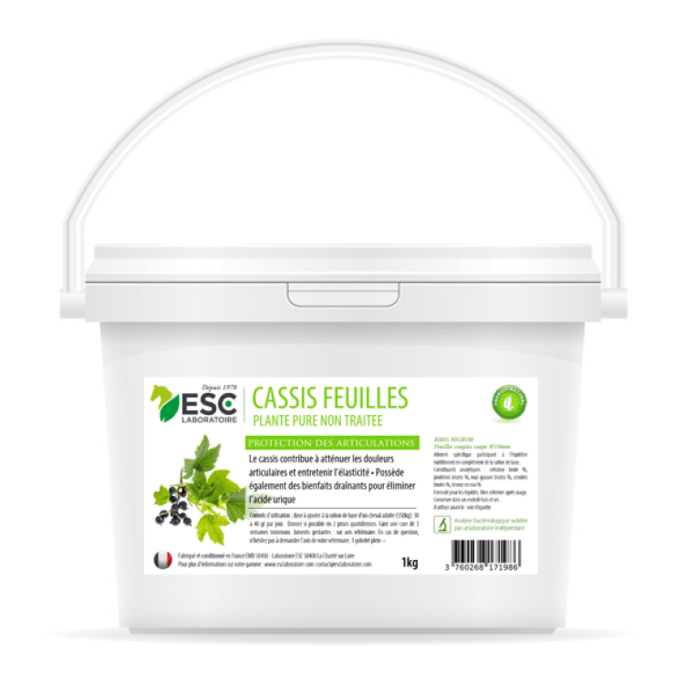 Cassis ESC Laboratorium