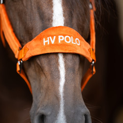 Halster HV Polo Luxury Pompoen Oranje