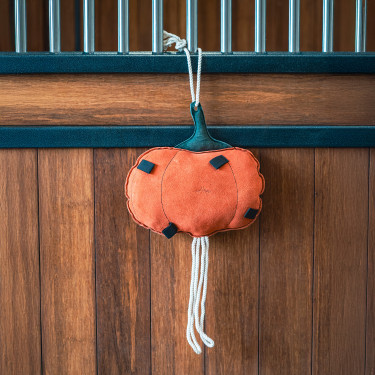 Stalspeelgoed paard HV Polo Pumpkin – Equi-Clic