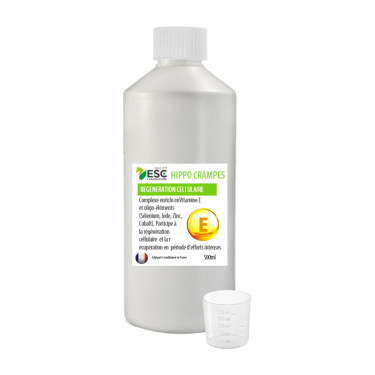 Hippocrampes ESC Laboratorium