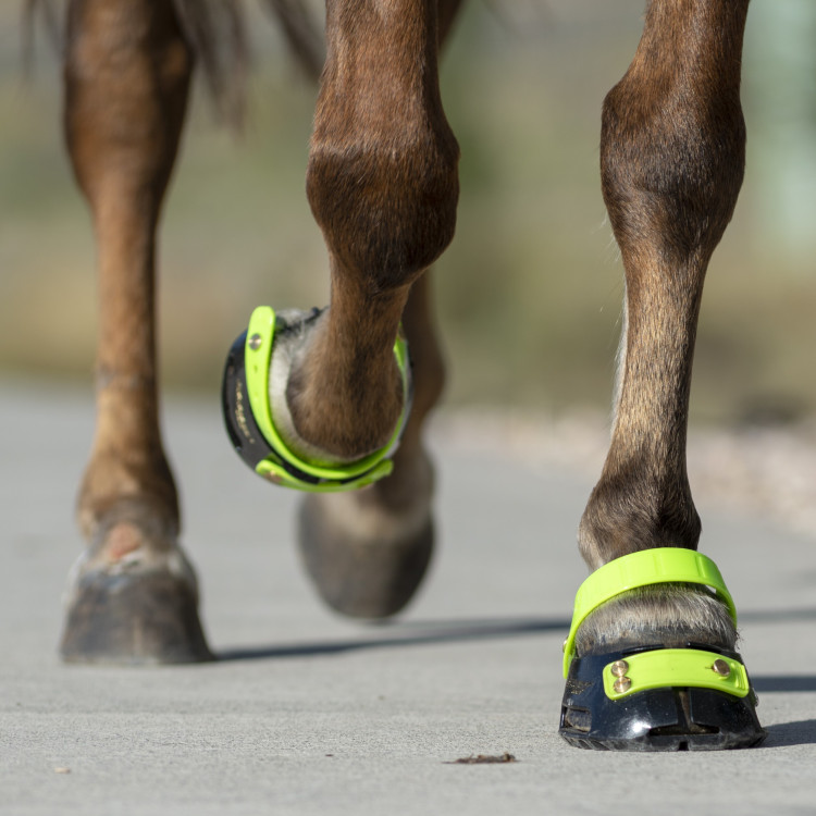 Hoefschoenen Scoot Boots Hoefschoenen Scoot Boots
