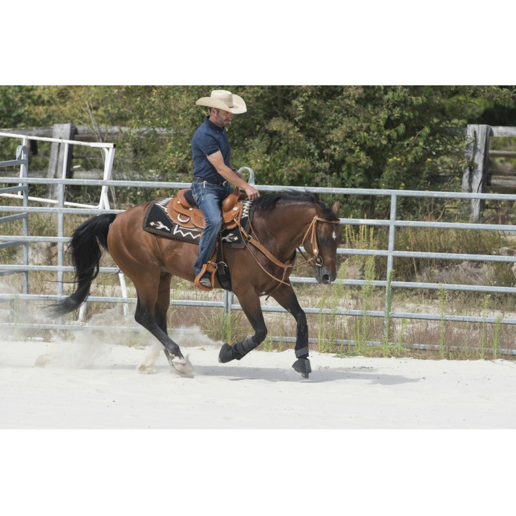 Selle Westride door Franck Perret Aurora Selle Westride door Franck Perret Aurora