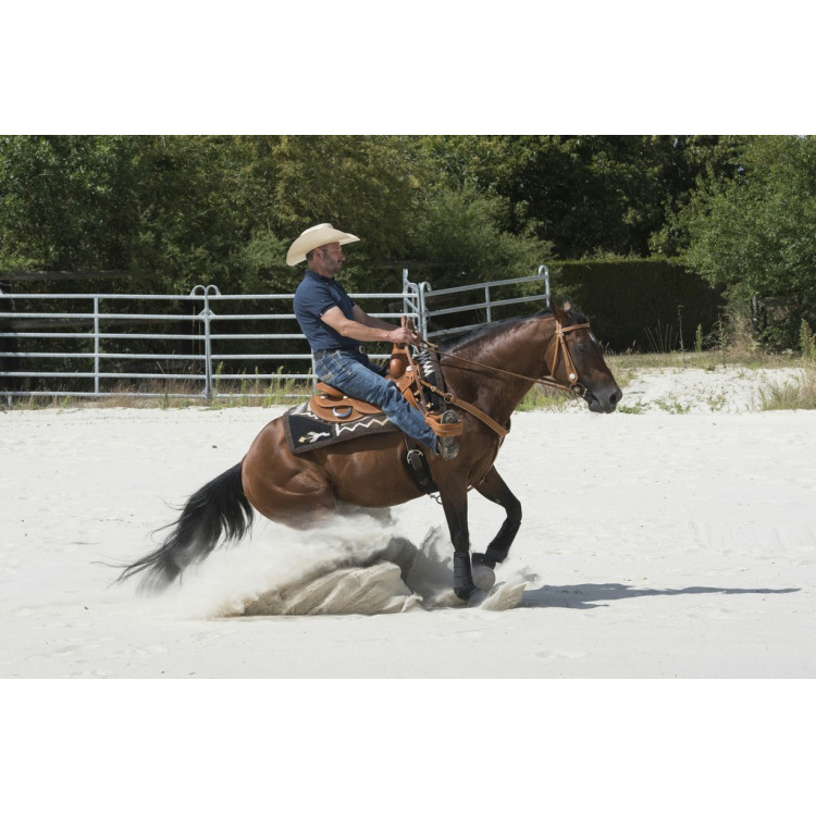 Selle Westride door Franck Perret Aurora Selle Westride door Franck Perret Aurora