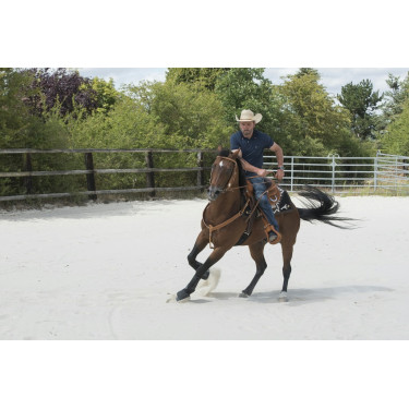 Selle Westride door Franck Perret Aurora Selle Westride door Franck Perret Aurora