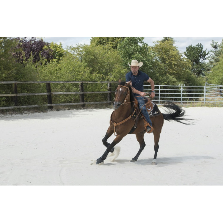 Selle Westride door Franck Perret Aurora Selle Westride door Franck Perret Aurora