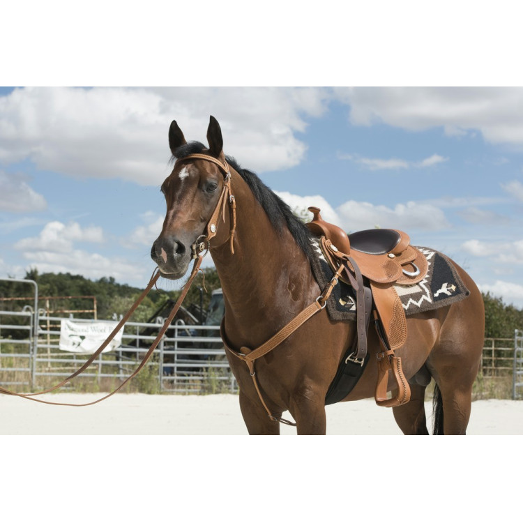 Selle Westride door Franck Perret Aurora Selle Westride door Franck Perret Aurora