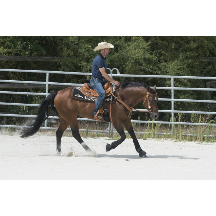 Selle Westride door Franck Perret Aurora Selle Westride door Franck Perret Aurora
