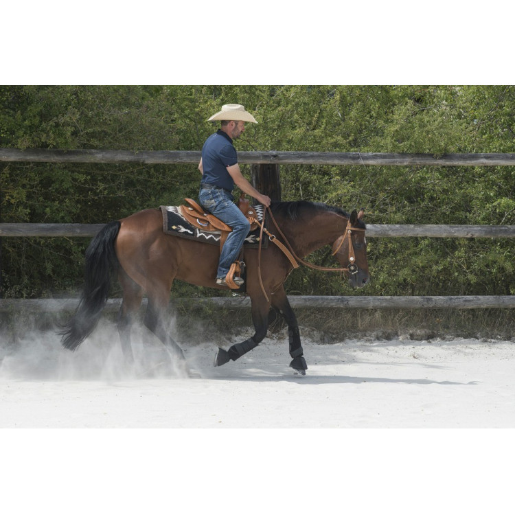 Selle Westride door Franck Perret Aurora Selle Westride door Franck Perret Aurora