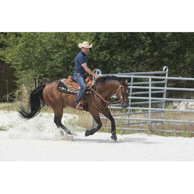 Selle Westride door Franck Perret Aurora Selle Westride door Franck Perret Aurora